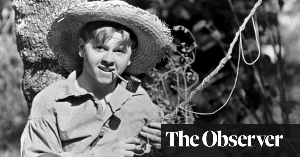 The Adventures of Huckleberry Finn Essay