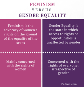 Difference Between Feminism and Gender Equality infographic