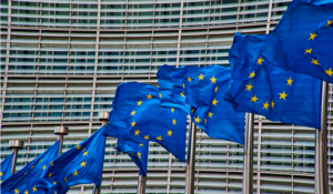 The Politics and Government of the EU: The European Union Community Political Process