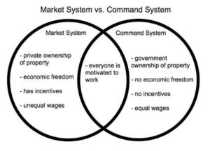 Pure Market and Planned Economic Systems