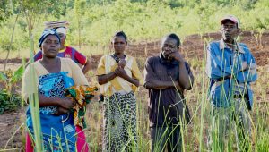 Gender and Development in Malawi