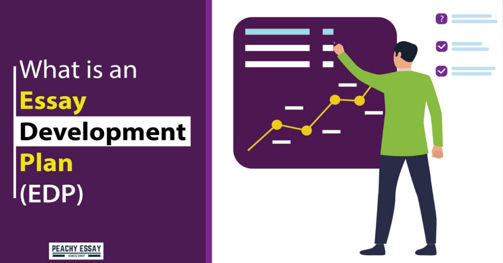 What is an Essay Development Plan