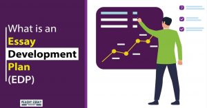What is an Essay Development Plan