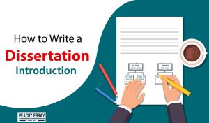 Dissertation Introduction