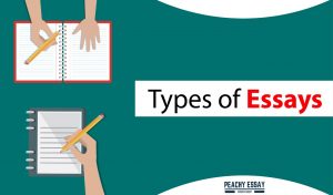 Types of Essay