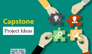 Capstone Project Ideas