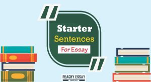 Starter Sentences for Essay