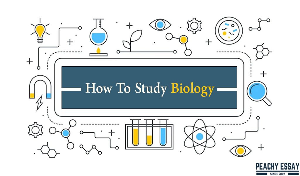How To Study Biology