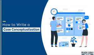 Case Conceptualization